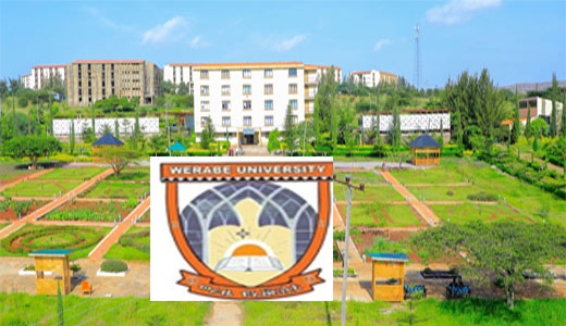Werabe University